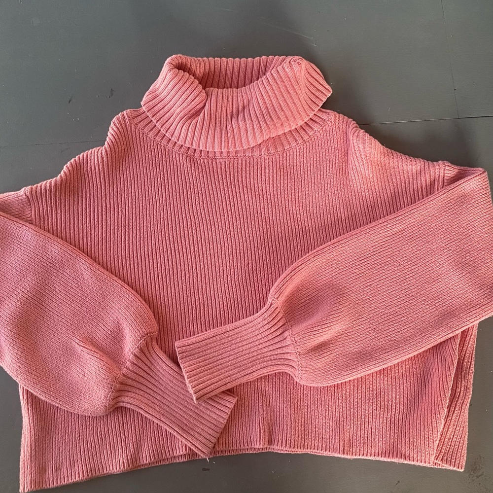 Wild Fable Crop sweater